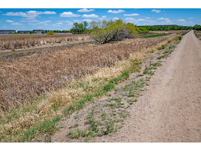 2059 Grays Peak Dr 201, Loveland, CO 80538