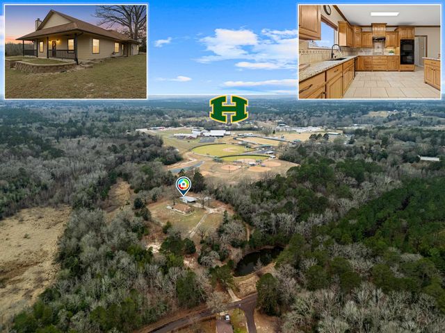 596 Anderson Rd, Harleton, TX 75651