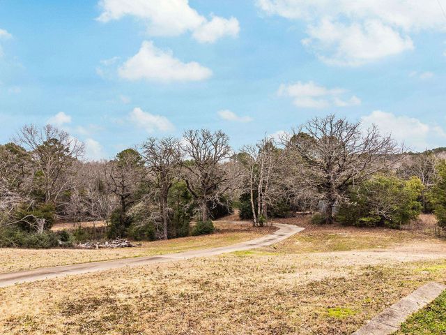 596 Anderson Rd, Harleton, TX 75651