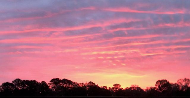 596 Anderson Rd, Harleton, TX 75651