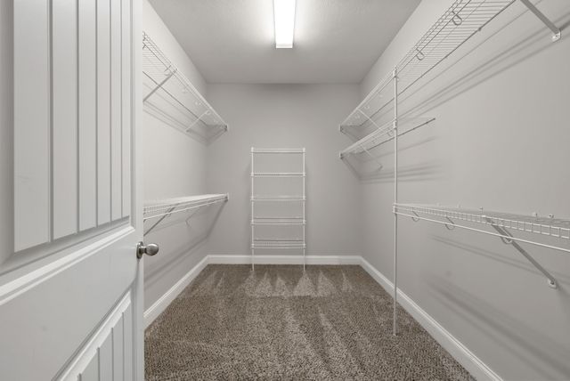 891 Terraceside Cir, Clarksville, TN 37040