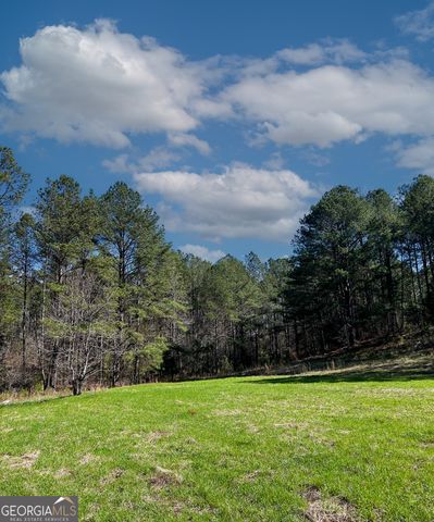 17081 Ga Highway 85 W, Shiloh, GA 31826