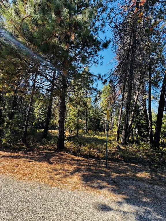 XXX N LAKESIDE DR Dr, Chattaroy, WA 99009 photo 6