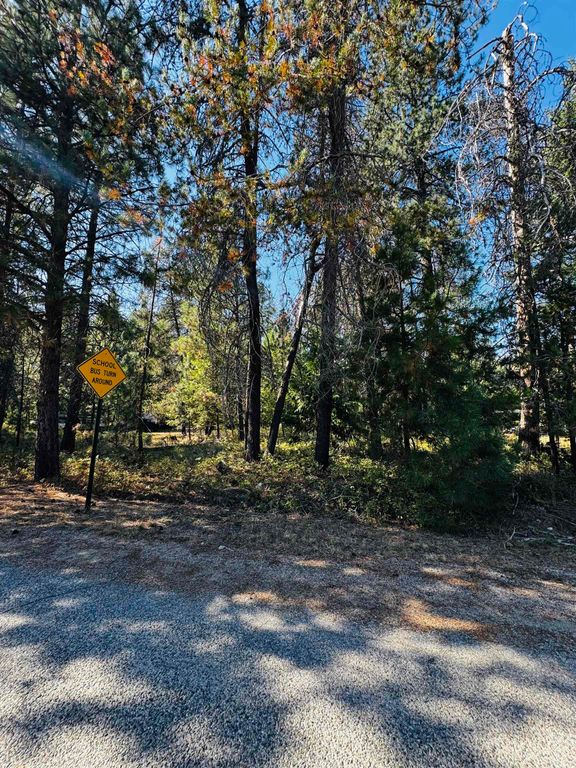 XXX N LAKESIDE DR Dr, Chattaroy, WA 99009 photo 7