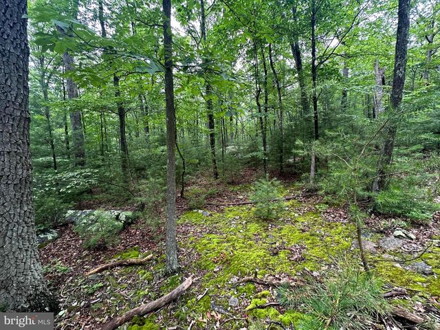 480 PINE RIDGE EXT, Wardensville, WV 26851