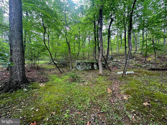 480 PINE RIDGE EXT, Wardensville, WV 26851