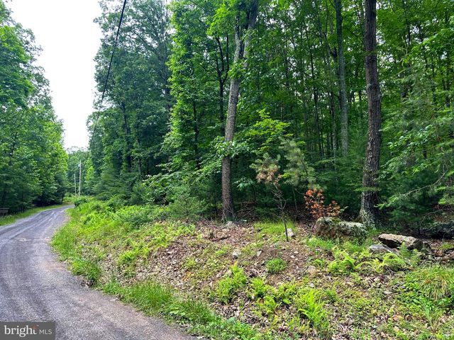 480 PINE RIDGE EXT, Wardensville, WV 26851