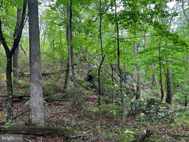 480 PINE RIDGE EXT, Wardensville, WV 26851