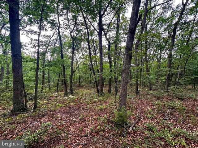 480 PINE RIDGE EXT, Wardensville, WV 26851
