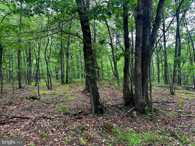 480 PINE RIDGE EXT, Wardensville, WV 26851