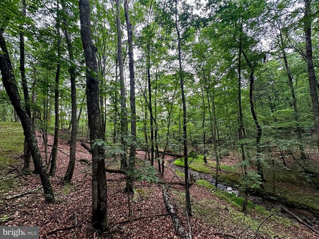 480 PINE RIDGE EXT, Wardensville, WV 26851