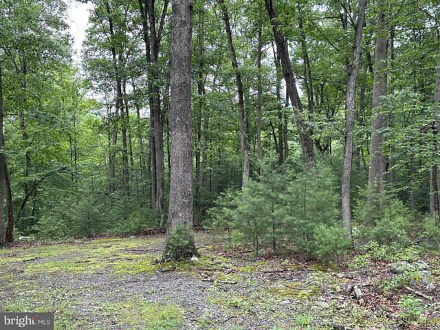 480 PINE RIDGE EXT, Wardensville, WV 26851