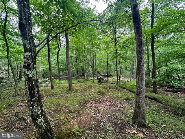 480 PINE RIDGE EXT, Wardensville, WV 26851