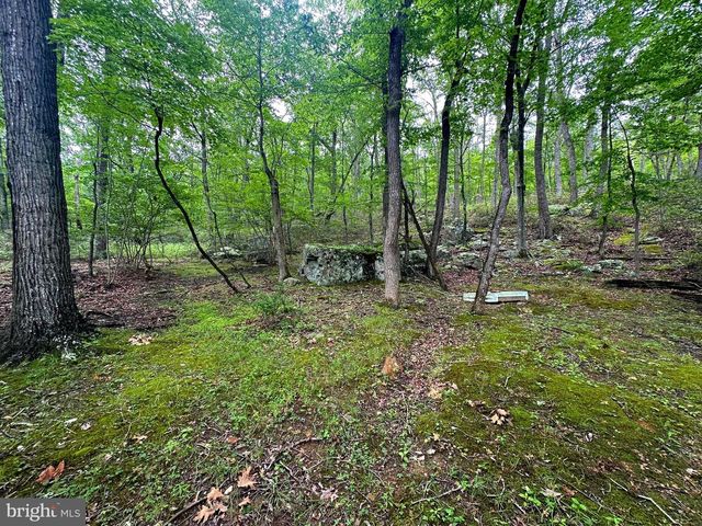 480 PINE RIDGE EXT, Wardensville, WV 26851