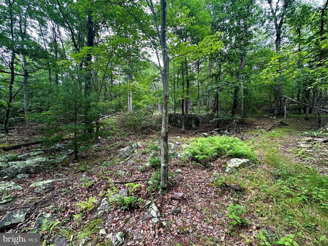 480 PINE RIDGE EXT, Wardensville, WV 26851