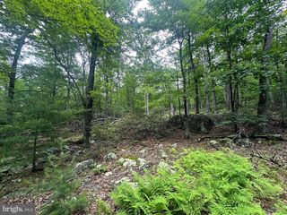 480 PINE RIDGE EXT, Wardensville, WV 26851