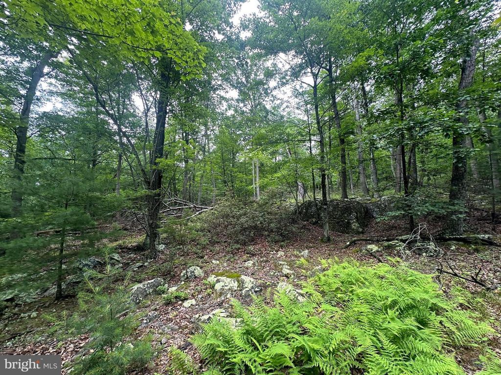 480 PINE RIDGE EXT, Wardensville, WV 26851
