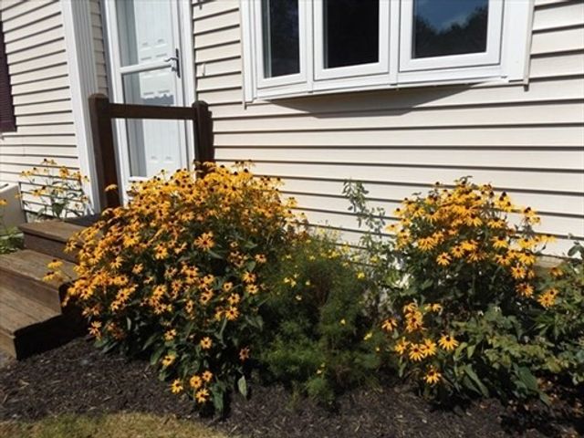 5 Milan Avenue 5, Woburn, MA 01801