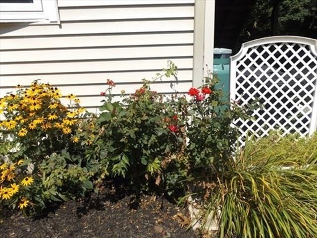 5 Milan Avenue 5, Woburn, MA 01801