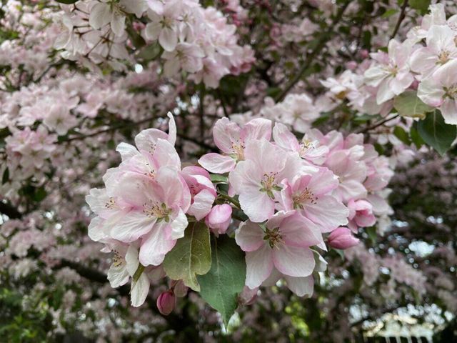 446 W Bridge COURT, Grafton, WI 53024