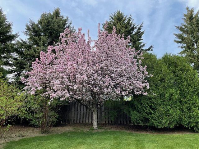 446 W Bridge COURT, Grafton, WI 53024