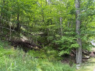 TBD Wakeman Way, Banner Elk, NC 28604