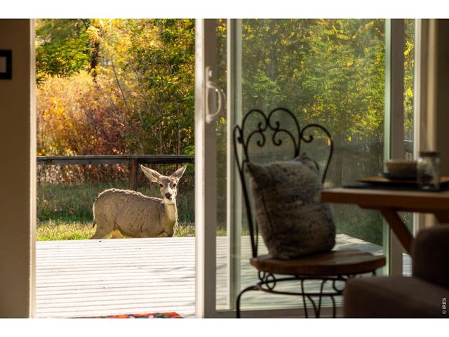 217 Park St, Lyons, CO 80540