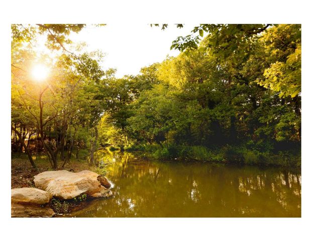 4311 Windy Point Road, Oak Point, TX 75068