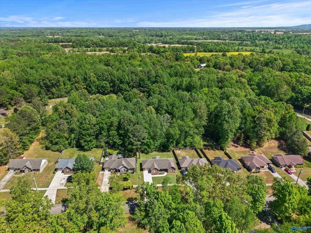 804 Charley Patterson Road, New Market, AL 35761