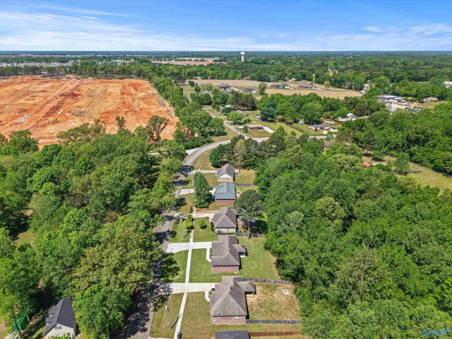 804 Charley Patterson Road, New Market, AL 35761