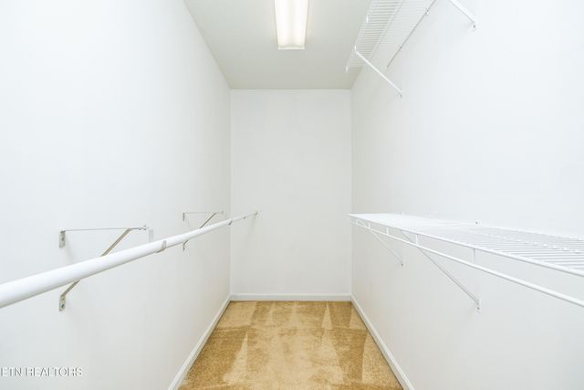 6619 Ruby June Lane, Corryton, TN 37721