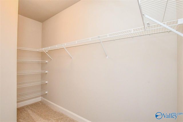 110 Delilah Lane, Madison, AL 35756