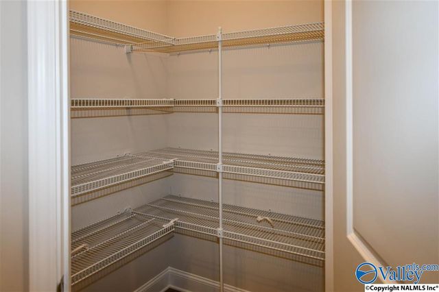 110 Delilah Lane, Madison, AL 35756