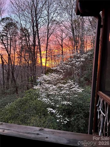 138 Bear Paw Drive, Brevard, NC 28712