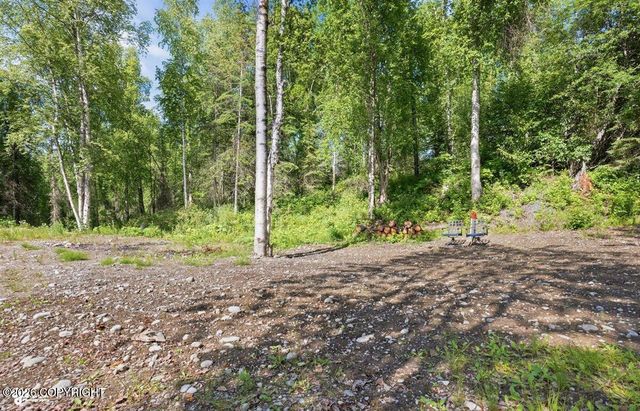 17413 W Marion Drive, Big Lake, AK 99652