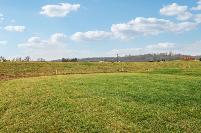 1520 Bear Branch Trace, Columbia, TN 38401