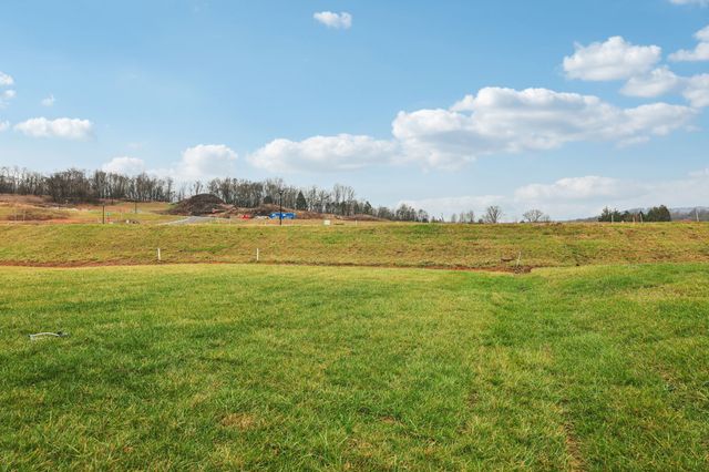 1520 Bear Branch Trace, Columbia, TN 38401