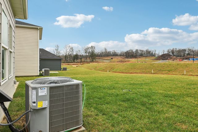 1520 Bear Branch Trace, Columbia, TN 38401