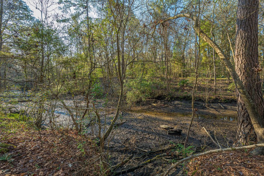 Image 2 of property listing at 113 Hampton Drive, Summerville, SC 29485