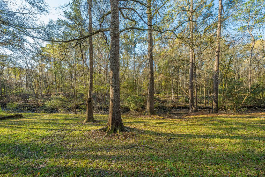 Image 22 of property listing at 113 Hampton Drive, Summerville, SC 29485