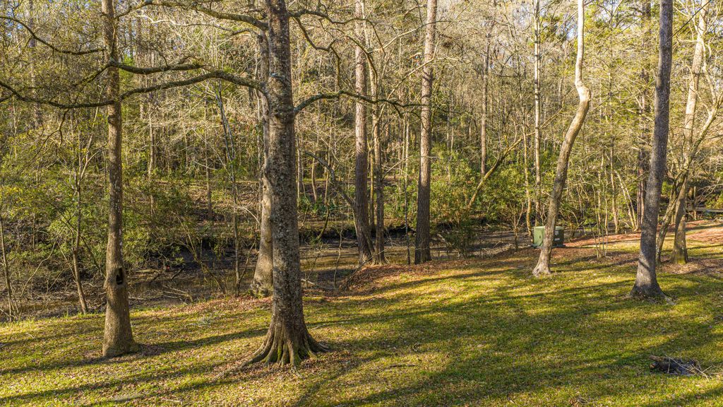 Image 5 of property listing at 113 Hampton Drive, Summerville, SC 29485