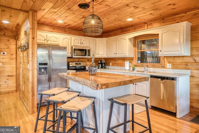48 Lookout Drive, Blue Ridge, GA 30513