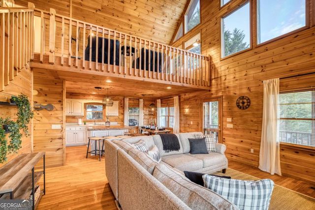 48 Lookout Drive, Blue Ridge, GA 30513