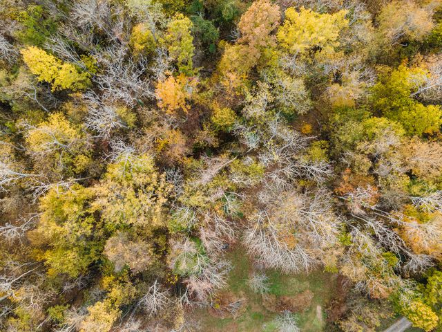 1916 Mack Benderman Rd, Culleoka, TN 38451