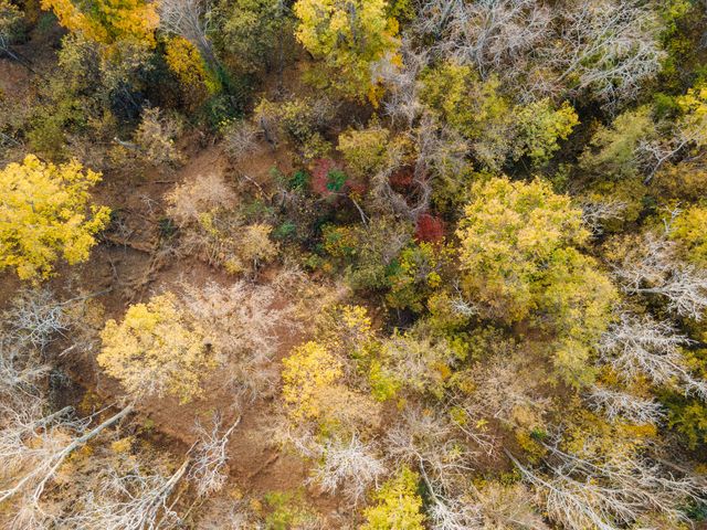 1916 Mack Benderman Rd, Culleoka, TN 38451