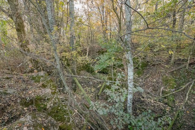 1916 Mack Benderman Rd, Culleoka, TN 38451