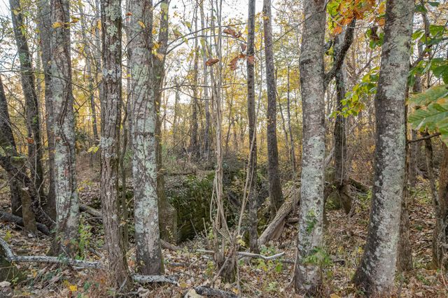 1916 Mack Benderman Rd, Culleoka, TN 38451