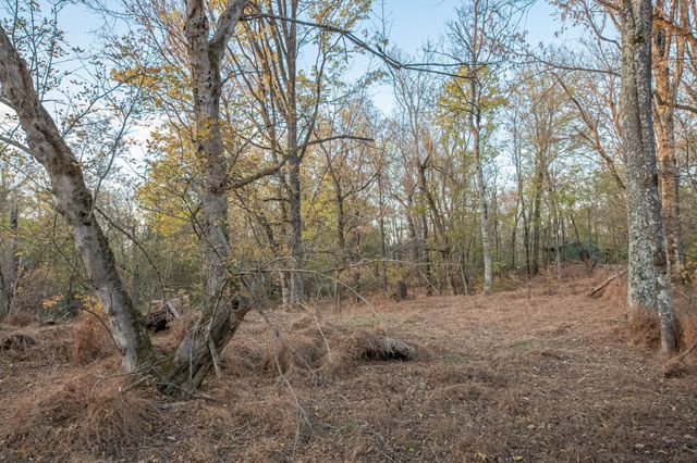 1916 Mack Benderman Rd, Culleoka, TN 38451