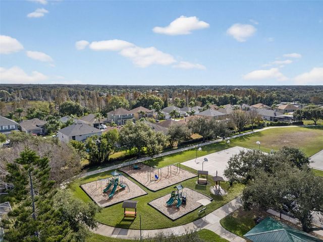 10539 GOOSEBERRY COURT, Trinity, FL 34655