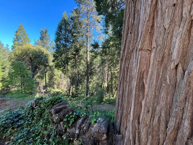 14619 Old Marysville Rd, Camptonville, CA 95922